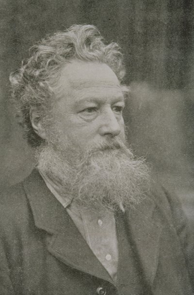 William Morris (1834-96) door Unbekannt Unbekannt